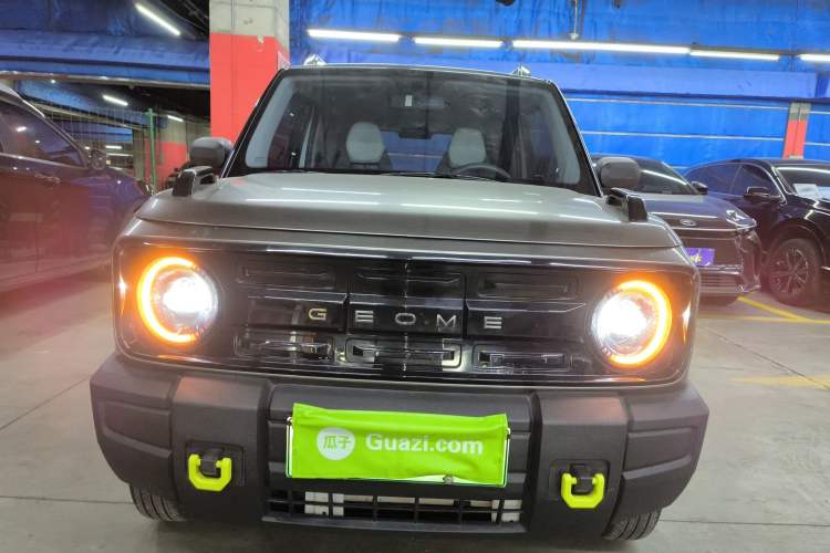 Used  Panda 2025 210km Panda Rider
