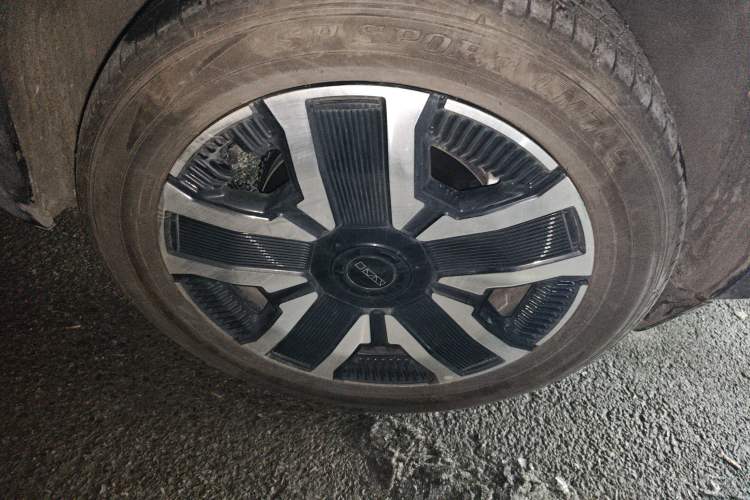 Used  03 2024 472km Four-Wheel Drive Long-Range Intelligent Advanced Version
