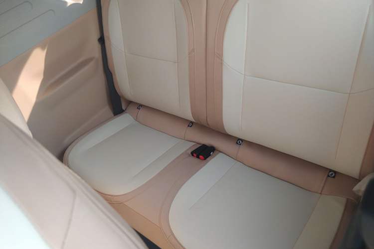 Used  Panda 2024 200km Panda Kart
