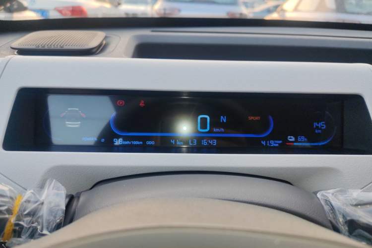 Used  Panda 2024 Panda Mini 200km Endurance Bear