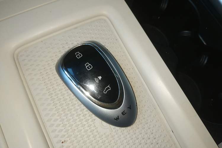 Used Wey Lanshan 2025 Four-Wheel Drive Max
