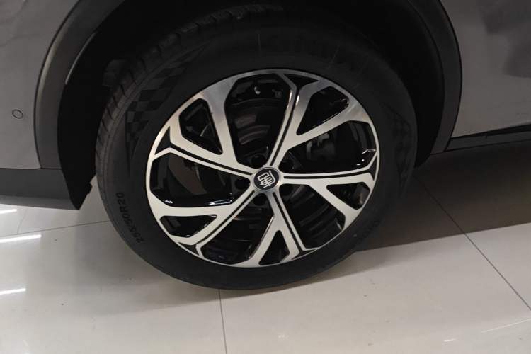 Used BYD Tang New Energy 2025 DM-i 115KM Cloud Ride Flagship Model
