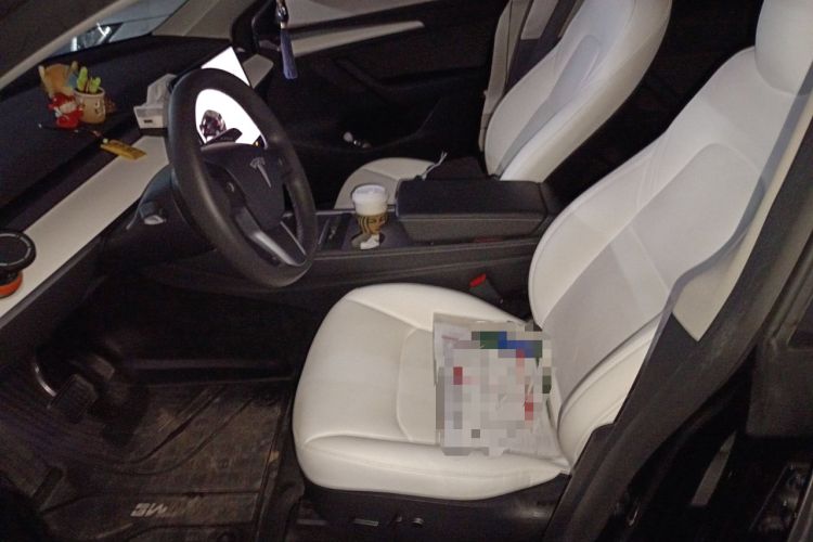 Used Tesla Model Y 2021 Standard Range Rear-Wheel Drive Version