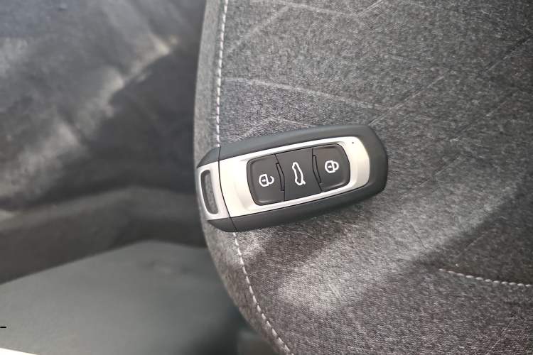 Used  Panda 2024 Panda Mini 200km Endurance Bear
