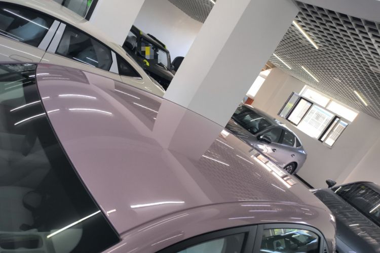 Used  Geome 2025 310km Dream Edition
