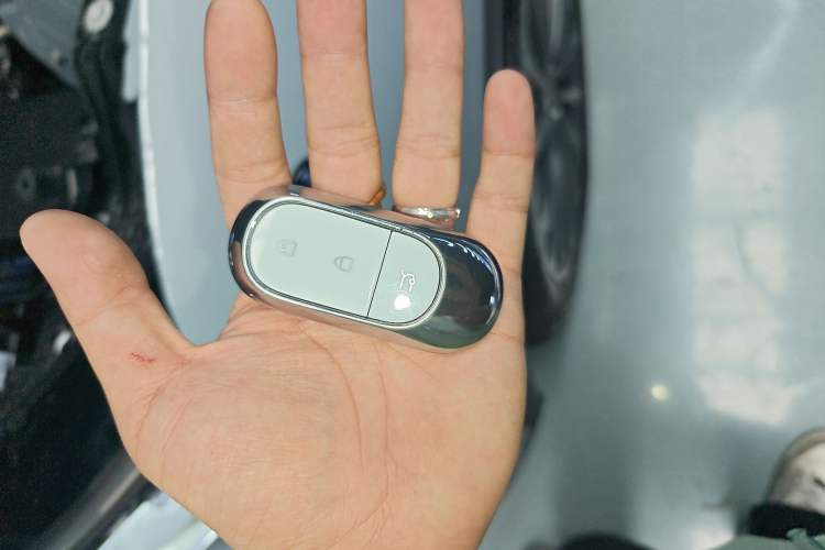 Used Leapmotor C11 2024 Range-Extended 300 Luxury Edition
