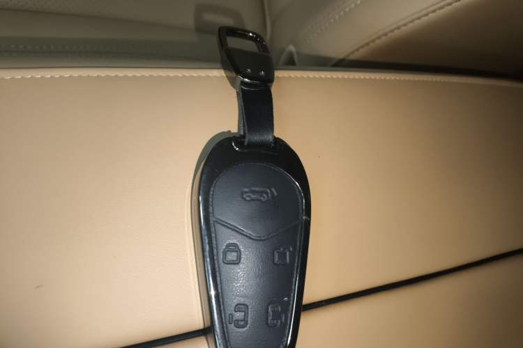 Used VOYAH Dream 2024 PHEV Extended-Range Premium Edition
