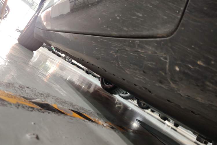 Used  07 2024 Pro Pure Electric Version
