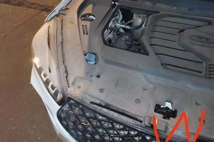 Used Chery Tiggo 7 2020 1.5T Manual Elite Edition
