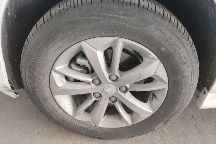 Used Livan Maple 60s 2025 Travel Edition