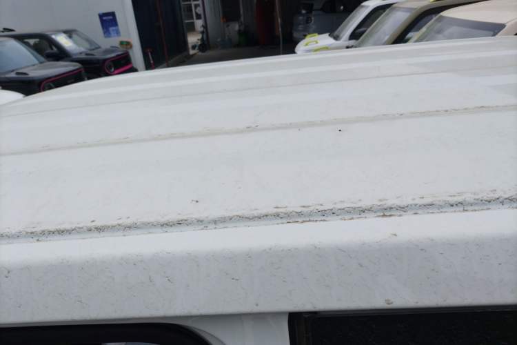 Used  Panda 2025 210 km – Yuanqi Bear