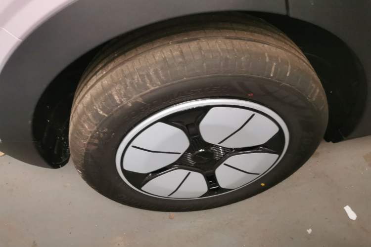 Used  Geome 2025 310km Youth Edition
