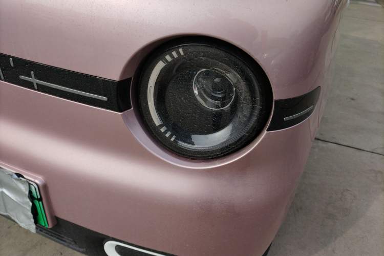 Used  Panda 2024 Panda Mini 200km Endurance Bear