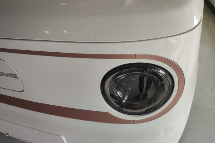 Used  Panda 2024 Panda Mini 200km Longteng PRO Edition
