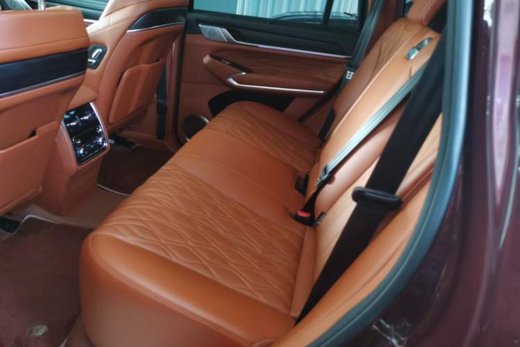 Used Tank 500 2022 3.0T High-End Custom Edition 5 Seats