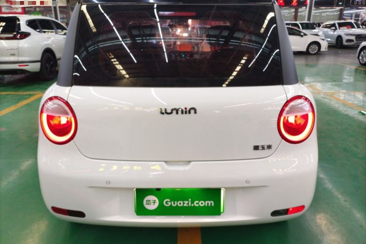 Used Qiyuan Lumin 2023 205km Xiangqin Version
