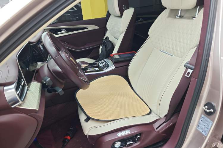 Used Hongqi H9 2020 3.0T Smart Connect Flagship Four-Seat Version

