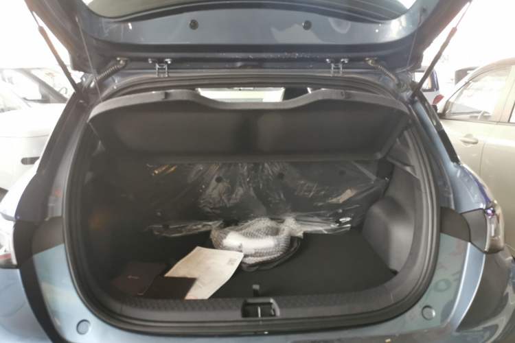 Used BYD Dolphin 2025 420km Free Edition
