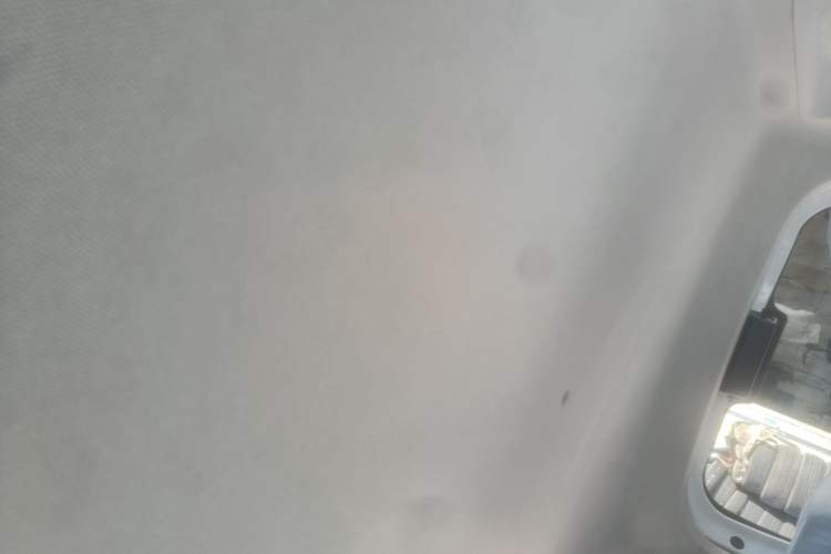 Used  Panda 2024 Panda Mini 200km Endurance Bear
