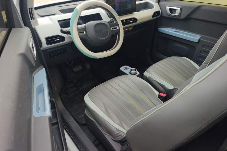 Used  Panda 2024 Panda Mini 200km Endurance Bear
