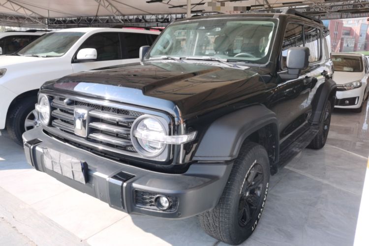 Used Tank 300 2024 2.0T Conqueror