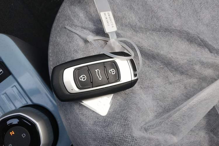 Used  Panda 2024 Panda Mini 200km Endurance Bear
