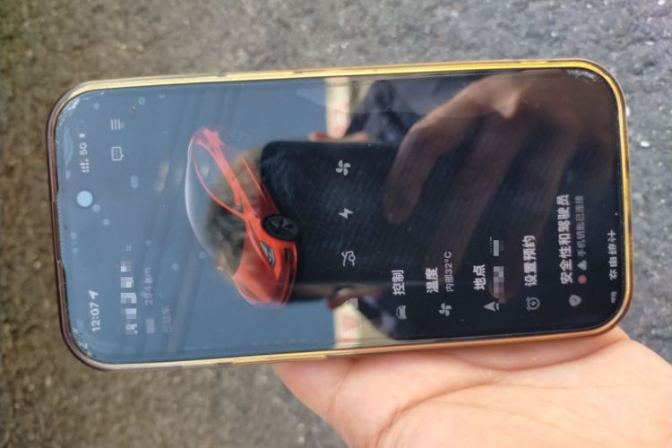 Used Tesla Model 3 2022 Rear-Wheel-Drive Version