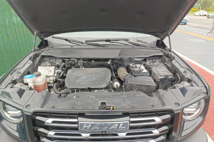 Used Haval DARGO 2022 1.5T DCT Two-Wheel Drive Border Collie Edition
