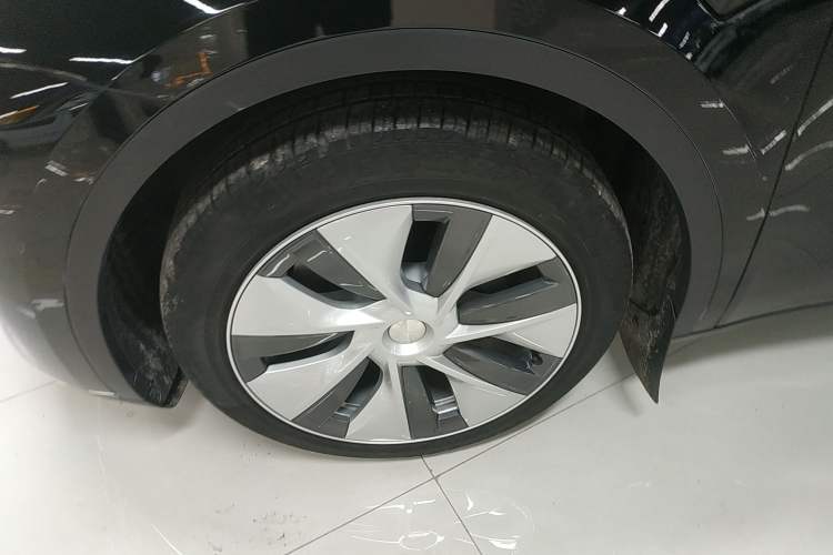 Used Tesla Model Y 2021 Standard Range Rear-Wheel Drive Version
