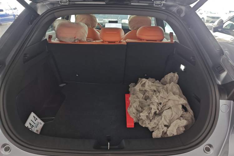 Used  S05 2024 200Max Range-Extended Long-Range Version
