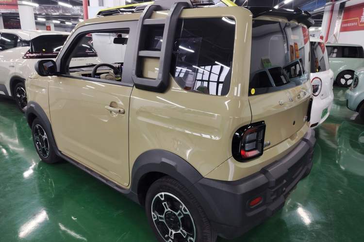 Used  Panda 2024 200km Panda Rider