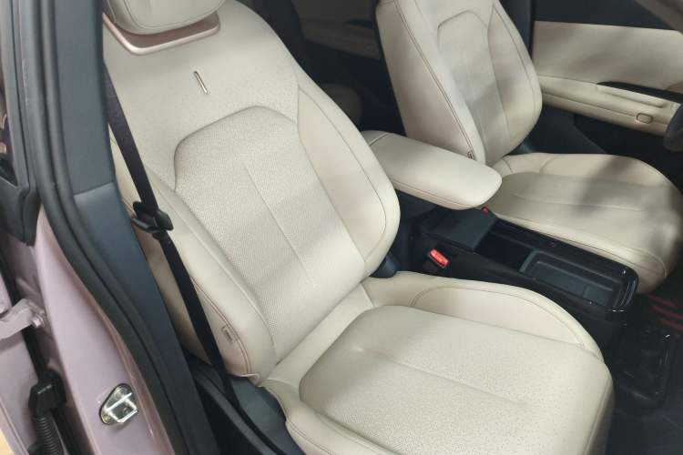 Used Lynk & Co Z20 2025 530 km Range Rear-Wheel Drive Max