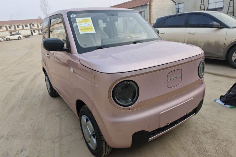 Used  Panda 2024 Panda Mini 200km Endurance Bear