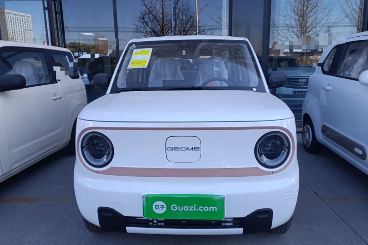 Used  Panda 2024 Panda Mini 200km Endurance Bear