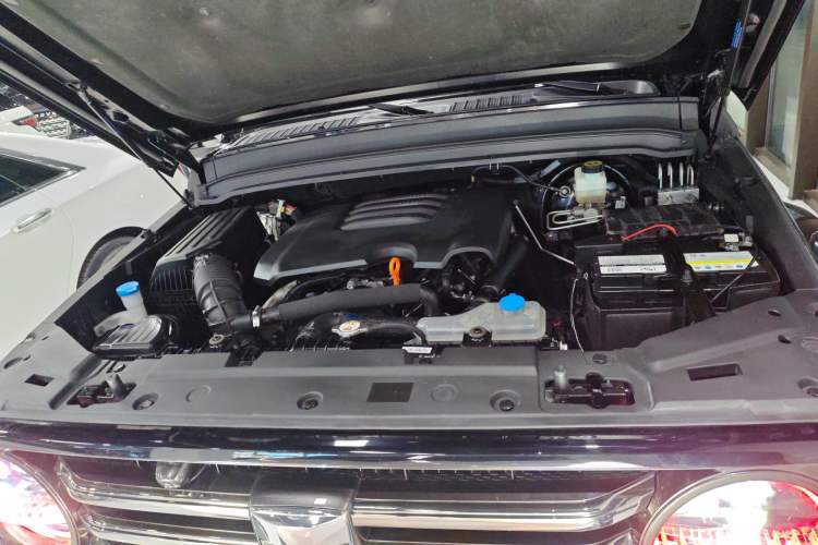 Used Tank 300 2023 City Edition 2.0T My Vision Model
