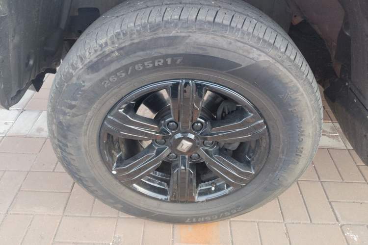 Used Tank 300 2023 Off-Road Edition 2.0T Challenger
