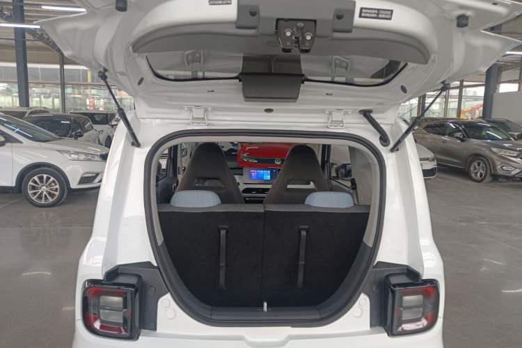 Used  Panda 2024 Panda Mini 200km Endurance Bear