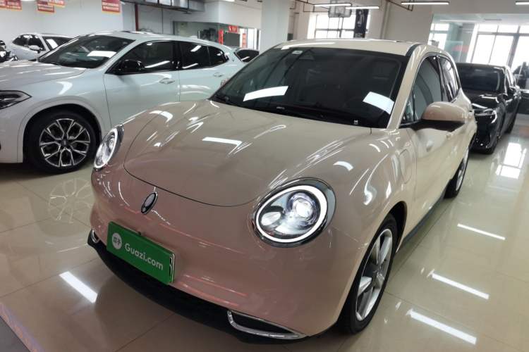 Used ORA Good Cat 2023 401 km Standard Range Premium Version Lithium Iron Phosphate