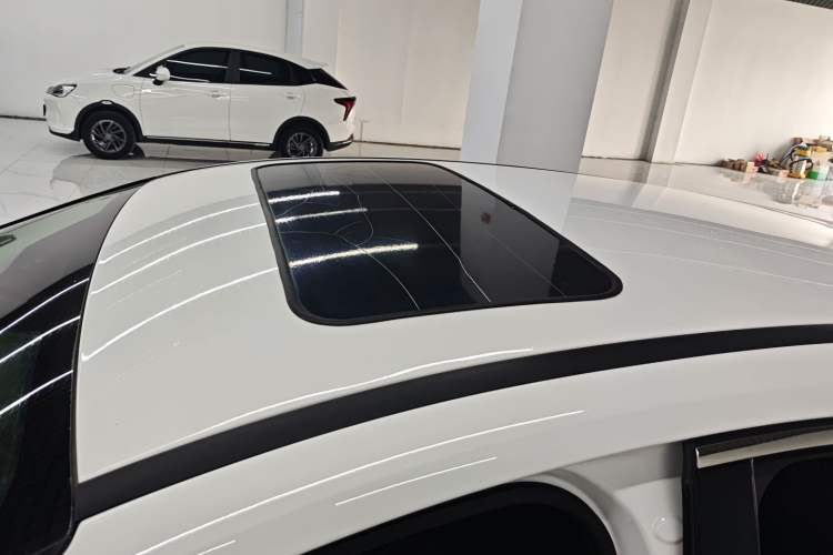 Used Ford Focus 2018 Hatchback Classic 1.6L Automatic Comfort Plus SmartDrive Edition
