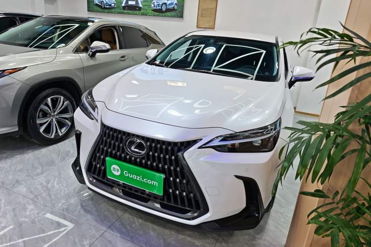 Used Lexus NX 2024 350h Front-Drive Xinchu Version