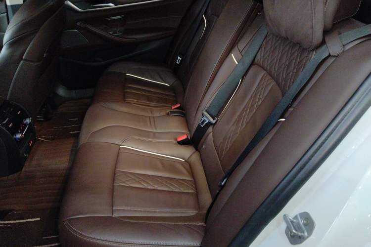 Used BMW 5 Series 2020 530Li Luxury Edition Premium Package