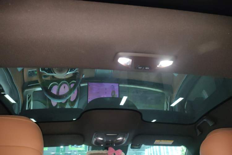 Used ORA Lightning Cat 2022 555 km Luxury Edition