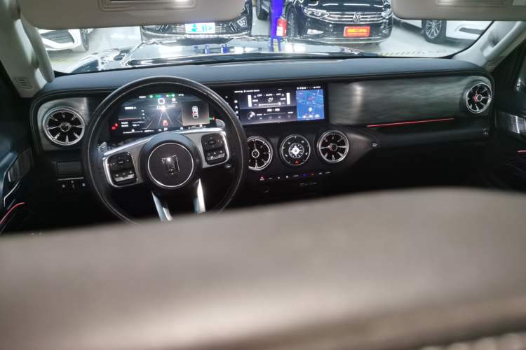 Used Tank 300 2024 2.0T Conqueror