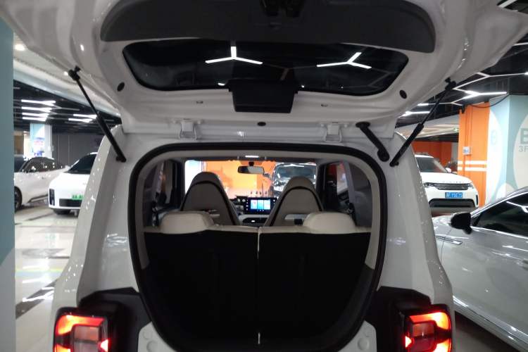 Used  Panda 2024 Panda Mini 200km Endurance Bear
