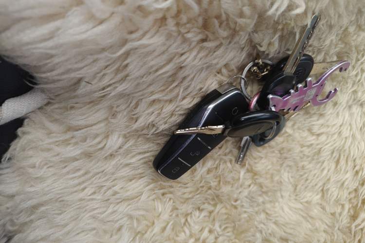 Used BYD Destroyer 05 2024 HONOR Edition DM-i 55KM Luxury Model