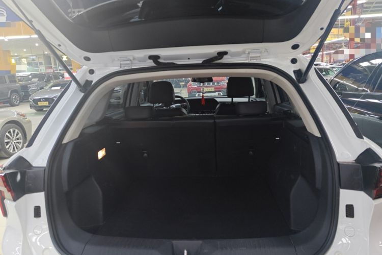 Used Bestune T55 2022 1.5T Automatic Super Leap Edition
