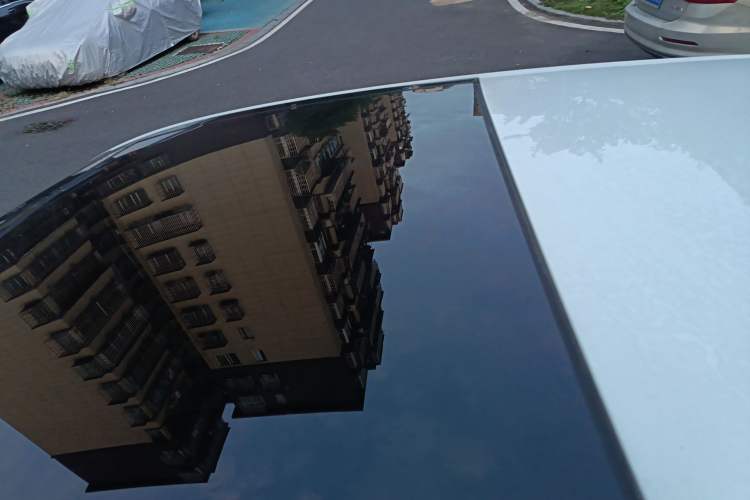 Used Volkswagen Golf 2019 280TSI DSG Comfort Version China VI Standard
