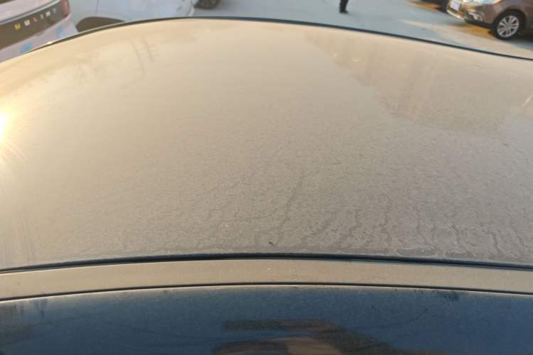 Used SOL E10X 2022 Flower Fairy Design Four-Leaf Clover