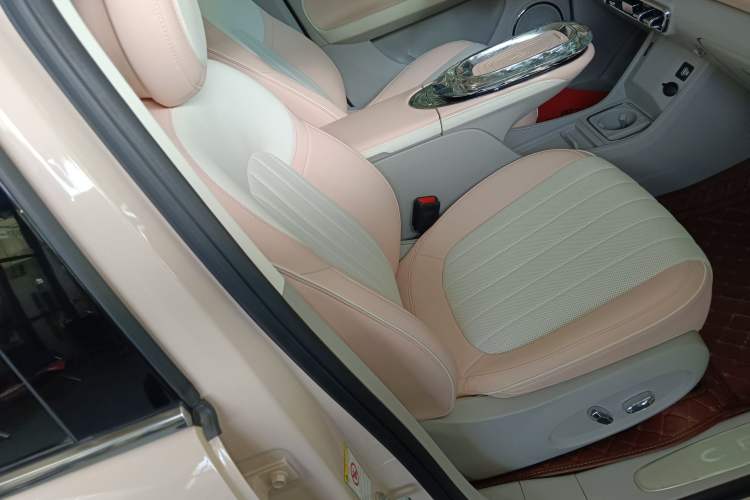 Used ORA Ballet Cat 2022 401 km Nutcracker Edition