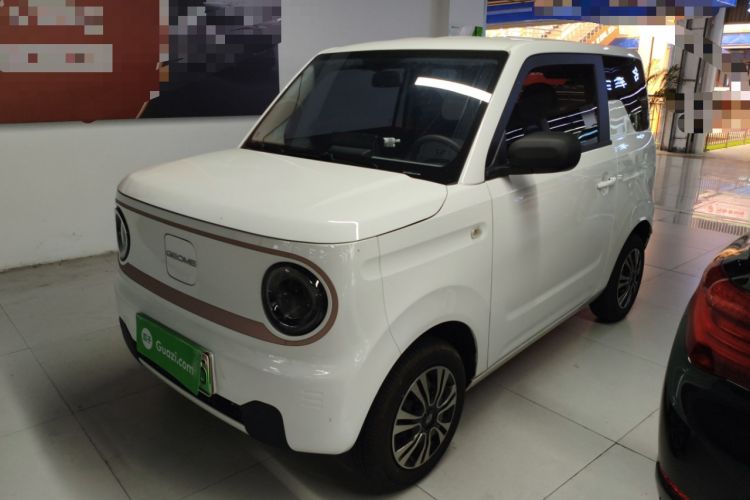 Used  Panda 2023 Panda Mini 200km Endurance Bear
